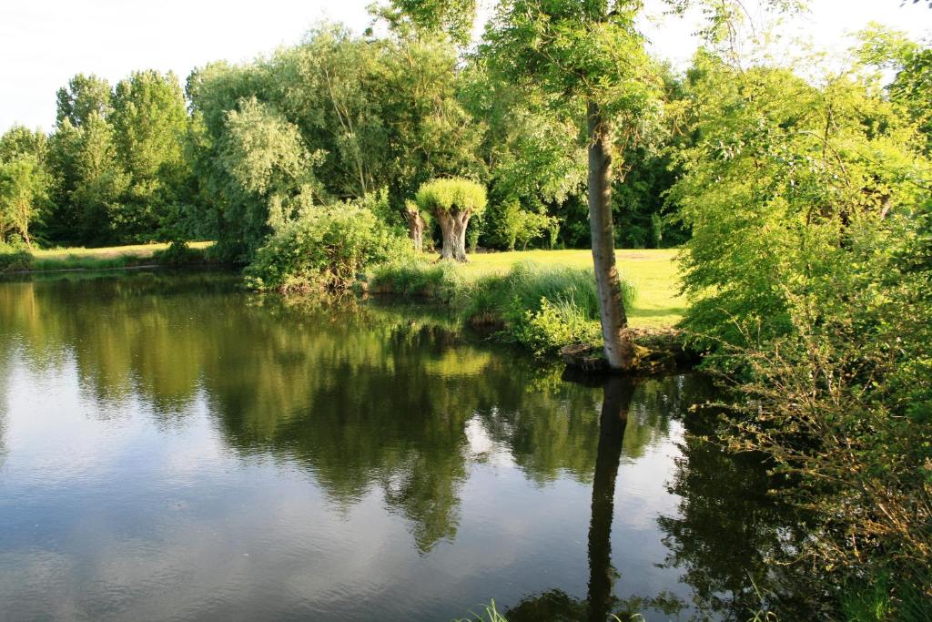 Příroda nedaleko bed and breakfast