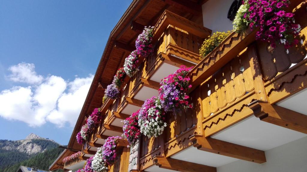 Nespecifikovaný výhled na hory nebo výhled na hory při pohledu z hotelu