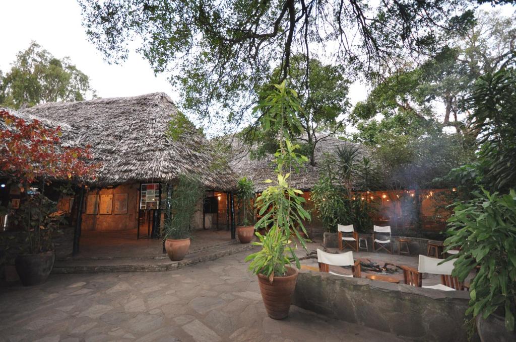 Zahrada ubytování Fig Tree Camp - Maasai Mara