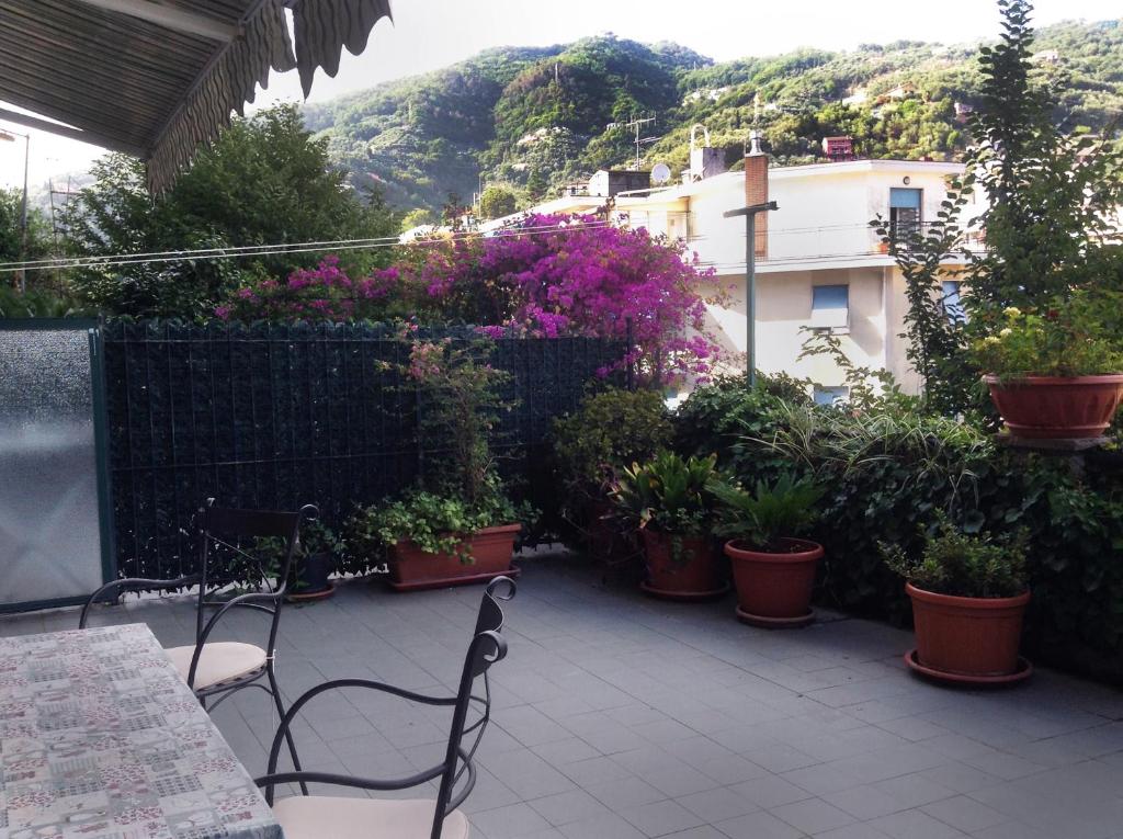 un patio con piante in vaso, tavolo e sedie di Condominio Marina a Rapallo