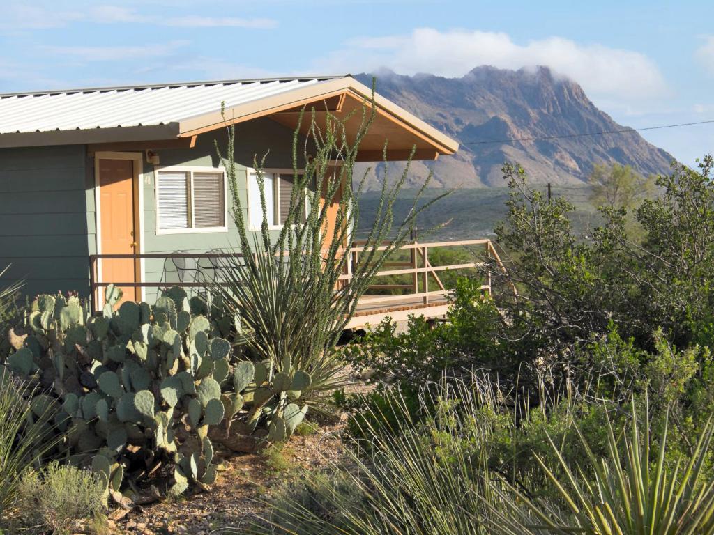 a small cabin with a tree and some bushes at Terlingua Ranch Lodge in Terlingua