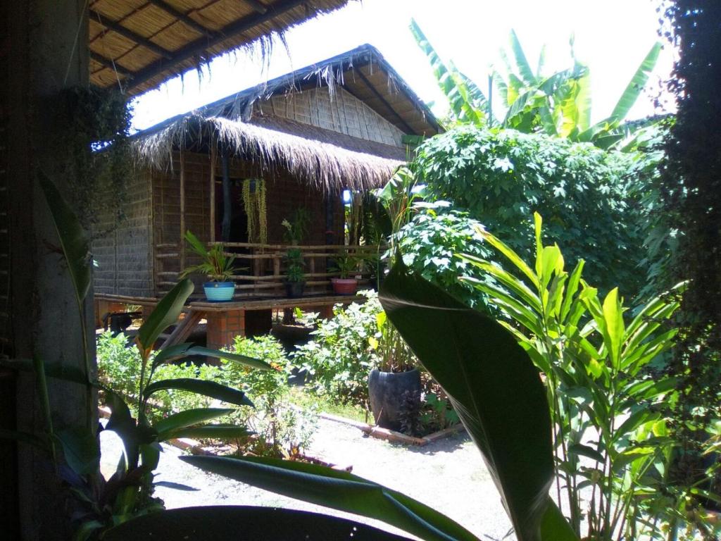 Battambang Dream Bungalows في باتامبانغ: حديقة بها منزل به مجموعة من النباتات