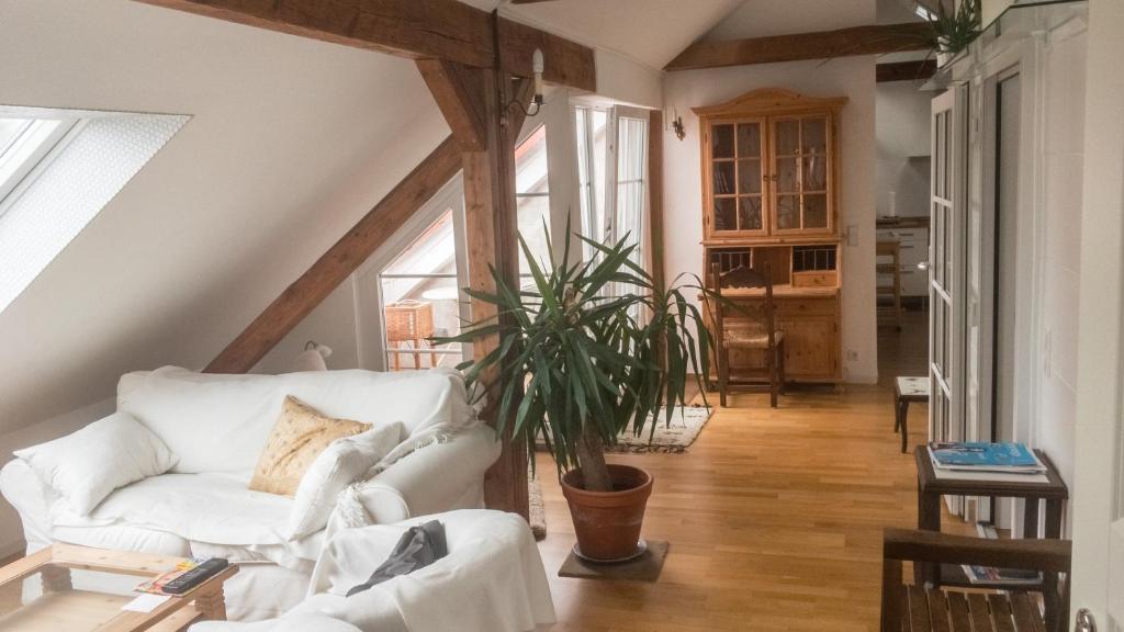 a living room with a white couch and a plant at Private Apartment & Hannover City Altstadt in Hannover