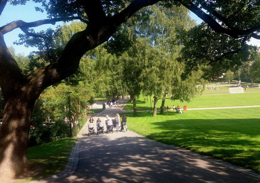 Zahrada ubytování Wasa Park Hotel