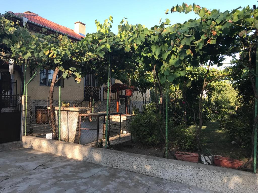 Guesthouse Planinsko Gnezdo - Casa De Cuatro Dormitorios