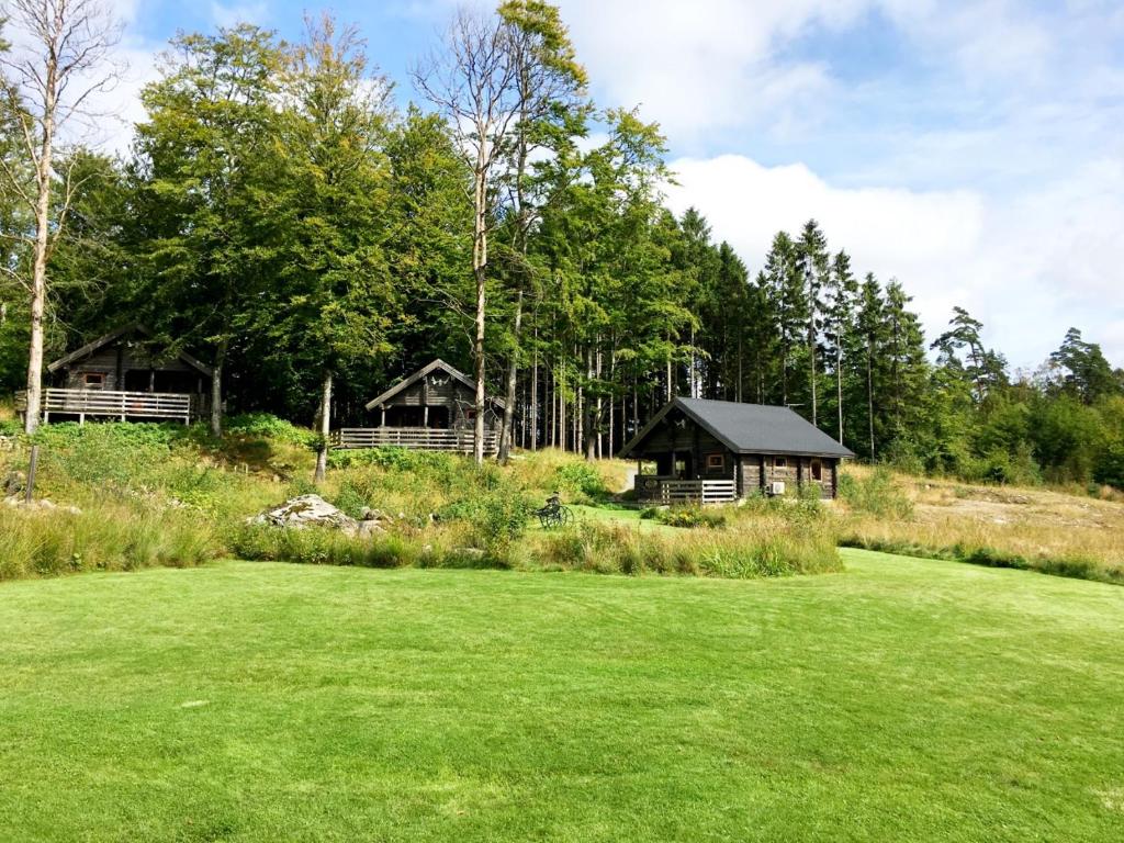 ein grünes Feld mit zwei Cottages im Hintergrund in der Unterkunft Stugby Ullared Paradise in Ullared