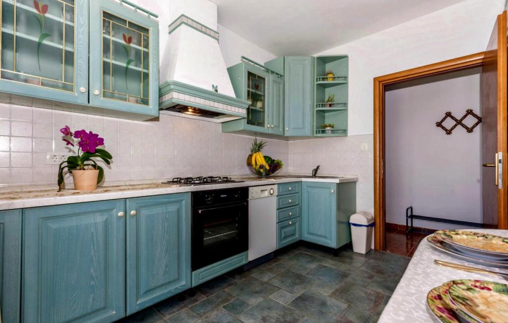 Kuchyň nebo kuchyňský kout v ubytování Apartment Anika