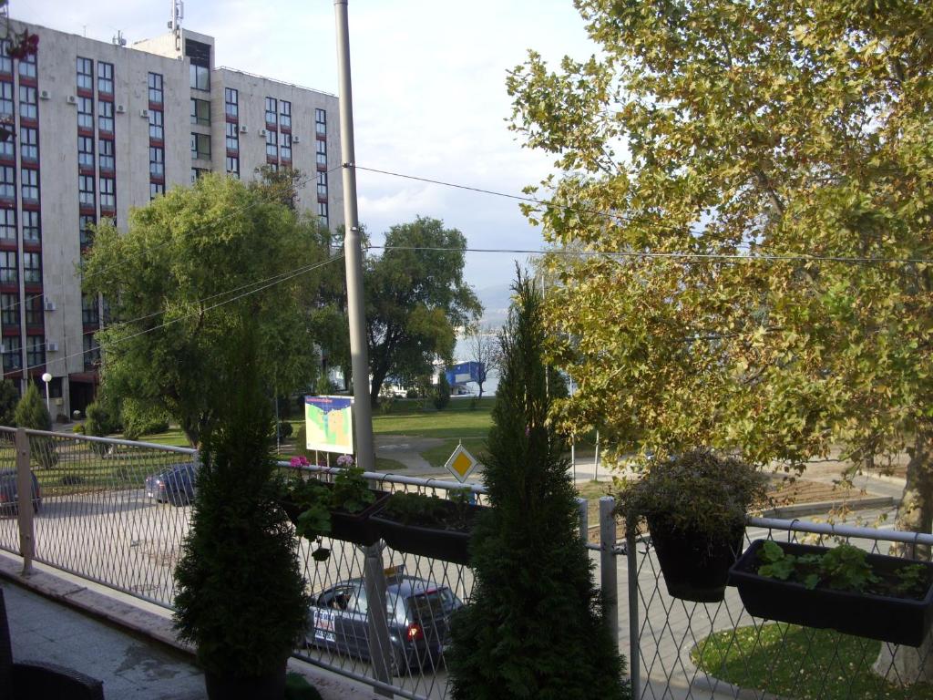 Zahrada ubytování Apartment Ruža