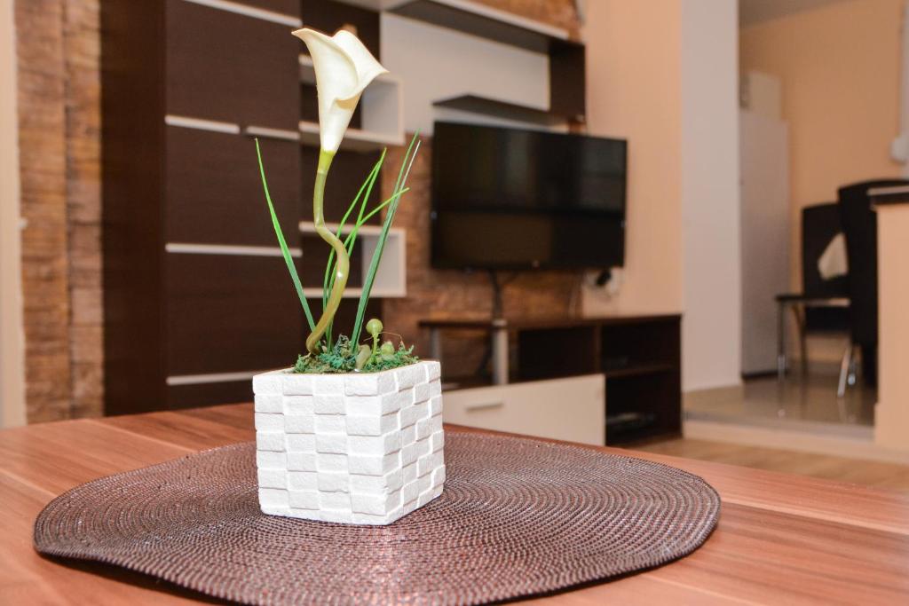 TV a/nebo společenská místnost v ubytování Apartment Ruža