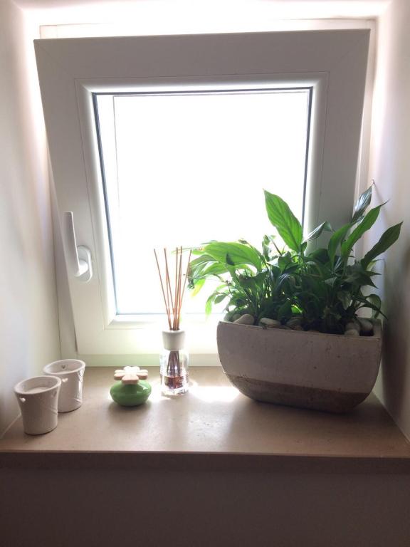 L'AlbaRosa - Camere - 18