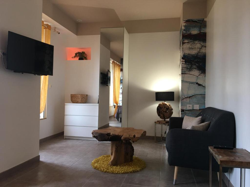 TV a/nebo společenská místnost v ubytování Moulin d'Albias aux portes de Montauban