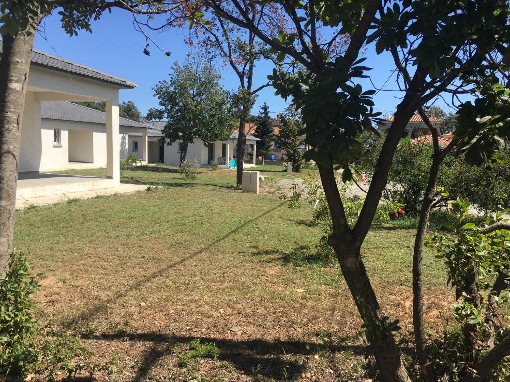 un cortile con una casa e un albero di Villa E Lecce a Santa-Lucia-di-Moriani