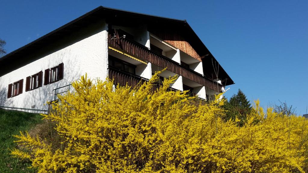 The building in which Az apartmant is located