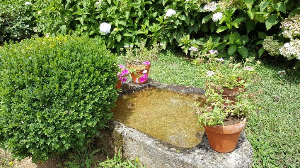 A garden outside A Pena de Augasantas