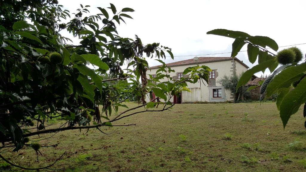 A garden outside A Pena de Augasantas