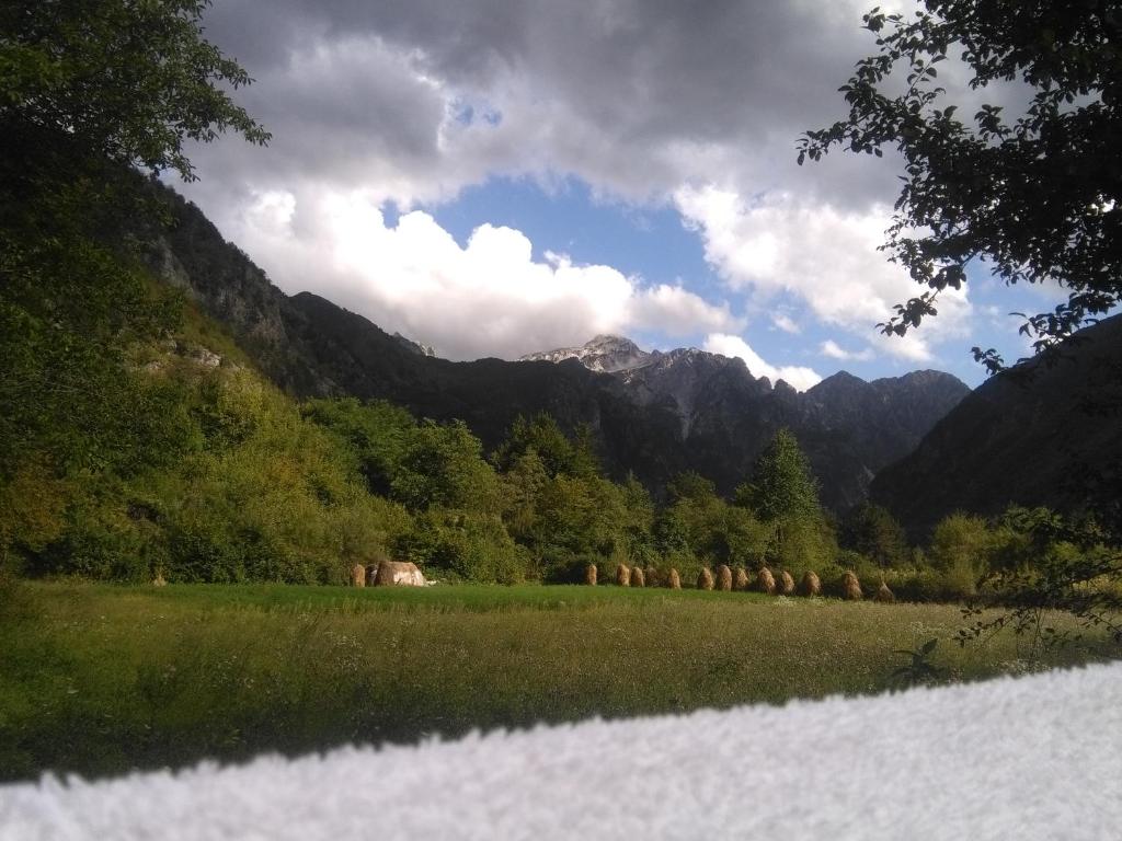Paesaggio naturale nelle vicinanze dell'affittacamere