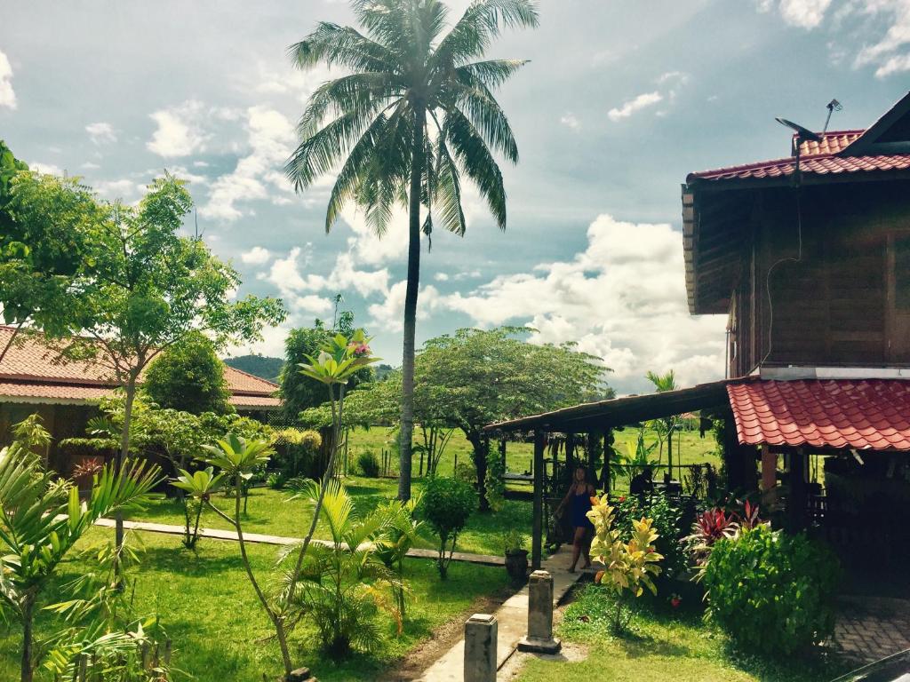 uma palmeira no meio de um quintal com um edifício em Soluna Guest House em Pantai Cenang