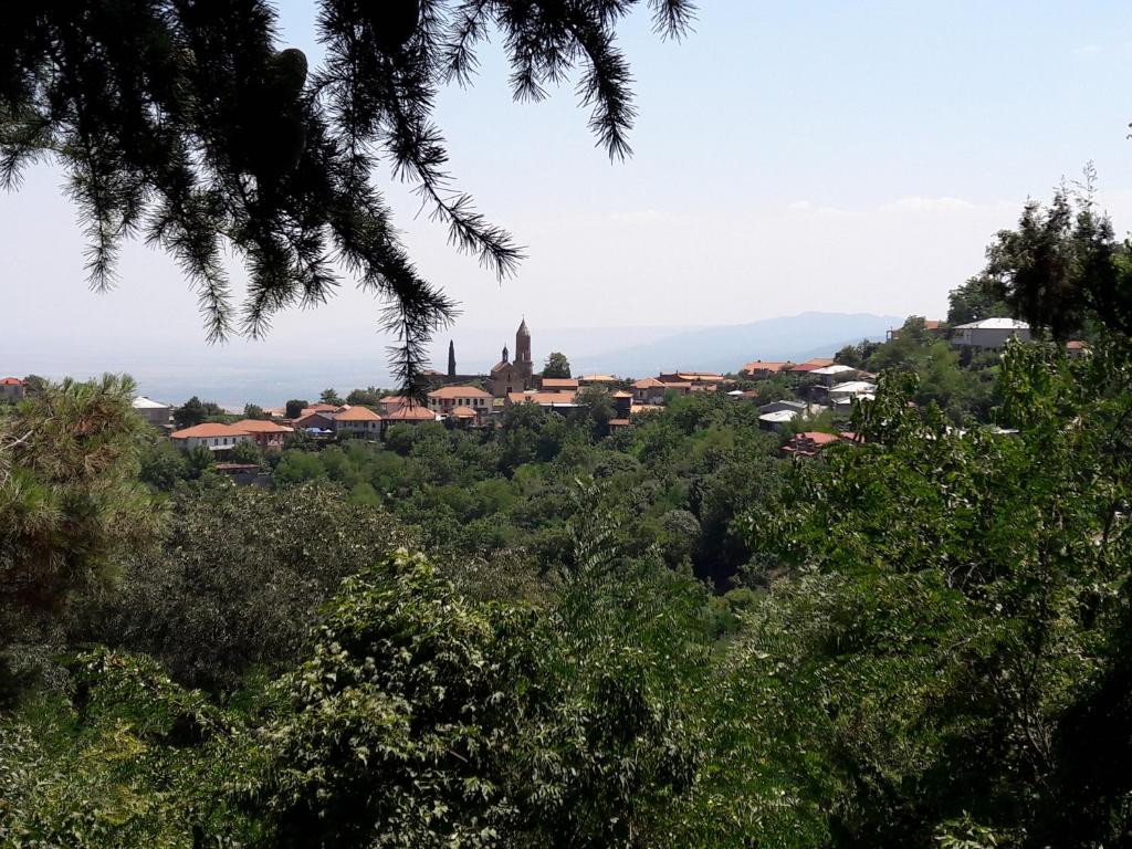 uma vista para uma cidade a partir das árvores em Goga Guesthouse em Signagi