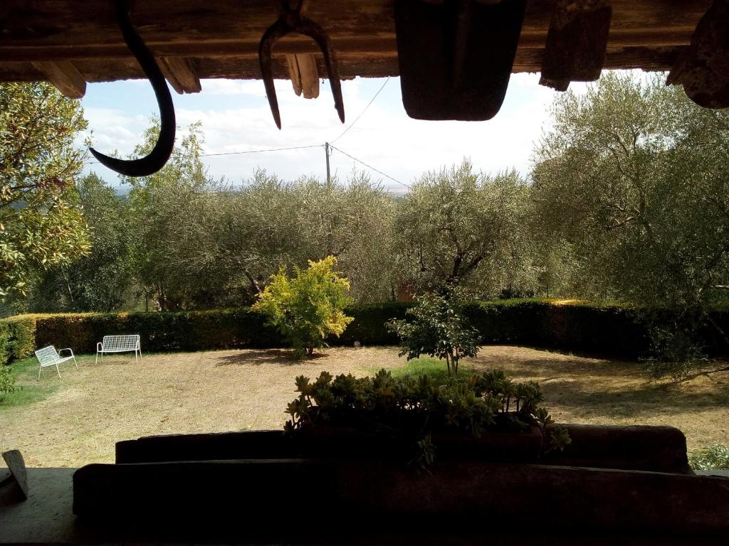 A garden outside Vignano40