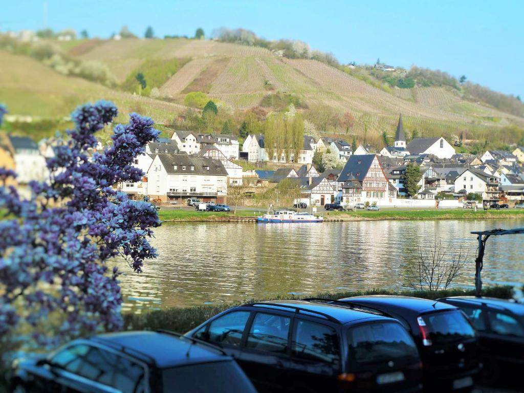 Mosel Ausblick - 12