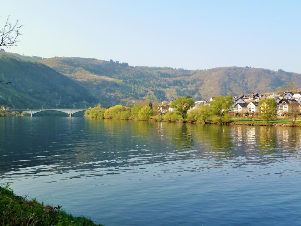 Mosel Ausblick - 11