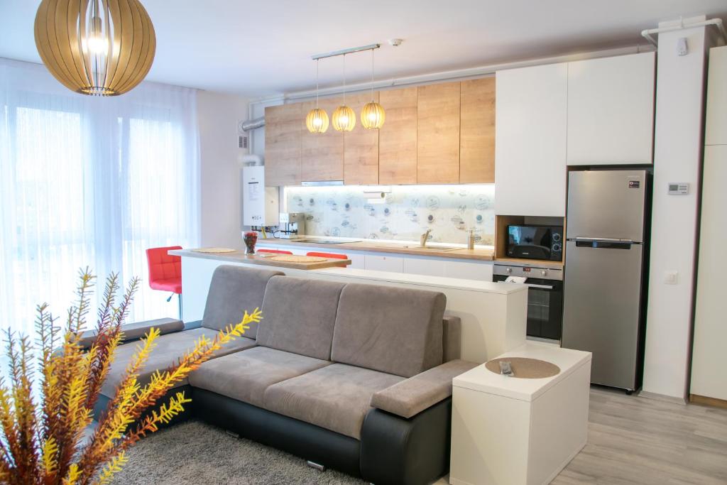 ein Wohnzimmer mit einem Sofa und einer Küche in der Unterkunft Riverside-Modern apartment-ARED in Oradea