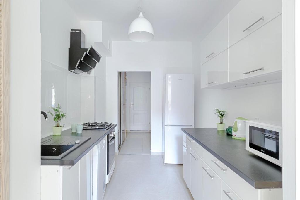 Kuchyň nebo kuchyňský kout v ubytování MoMi Apartament Blonia Szczecin Herbowa
