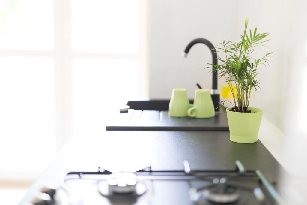 Kuchyň nebo kuchyňský kout v ubytování MoMi Apartament Blonia Szczecin Herbowa