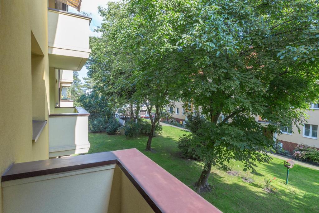 Zahrada ubytování MoMi Apartament Blonia Szczecin Herbowa