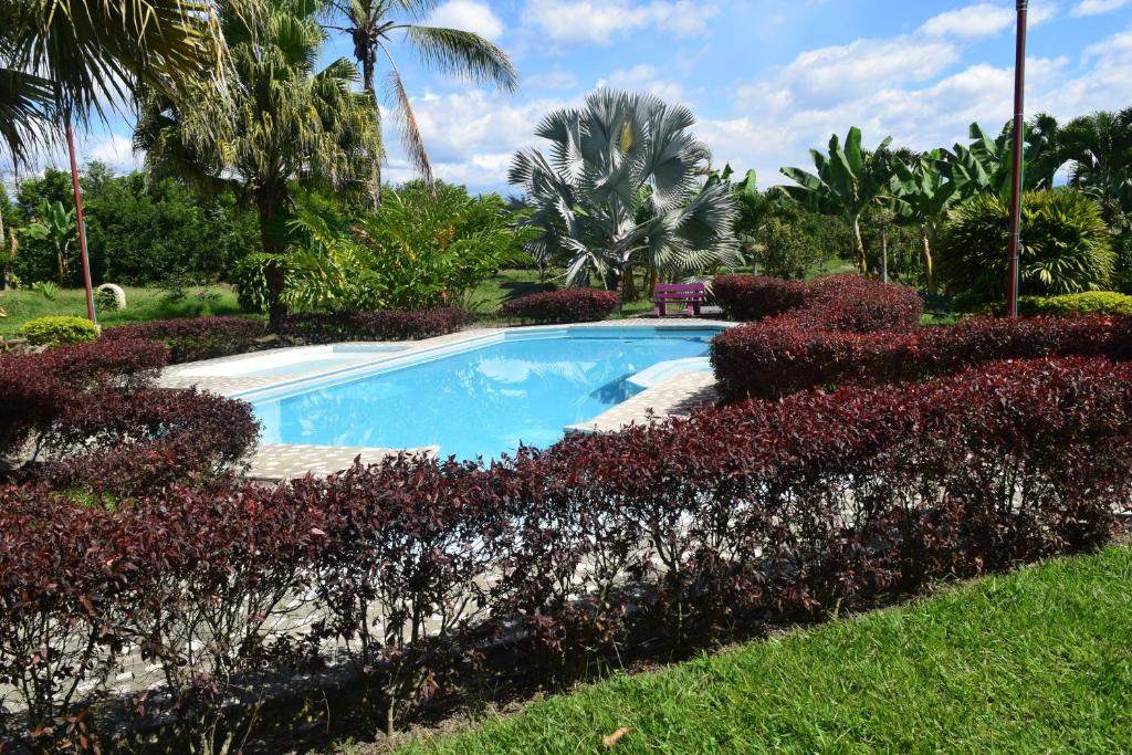 Fotografie z fotogalerie ubytování Finca La bella v destinaci La Tebaida