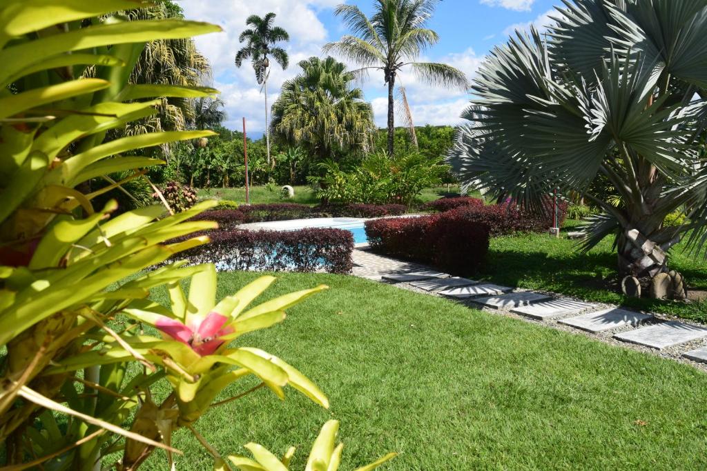 Fotografie z fotogalerie ubytování Finca La bella v destinaci La Tebaida