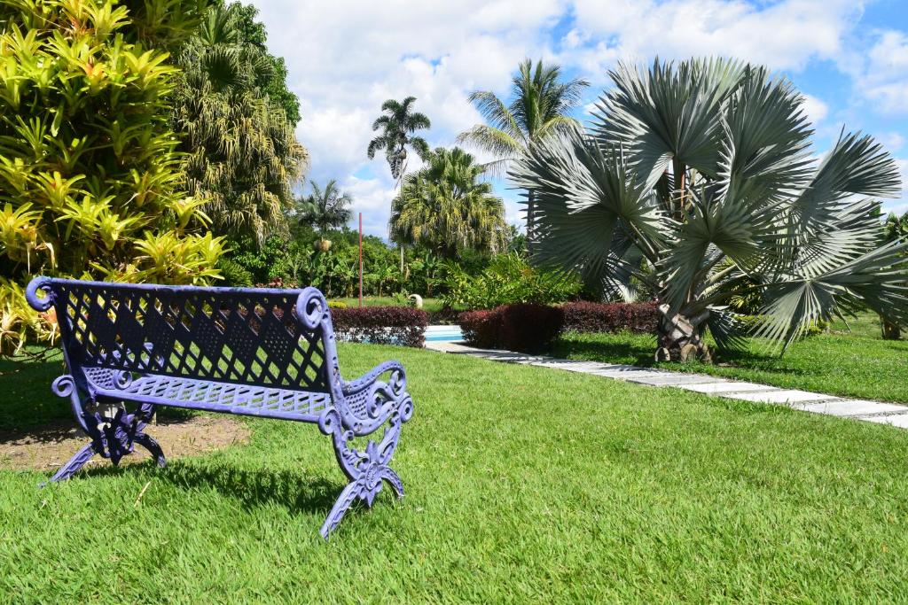 Fotografie z fotogalerie ubytování Finca La bella v destinaci La Tebaida