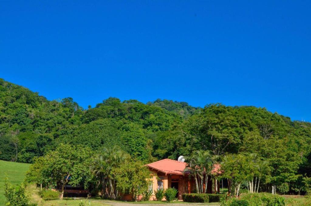 a house in front of a mountain with trees at Casa Cora Bed and Breakfast in Colonia Carmona
