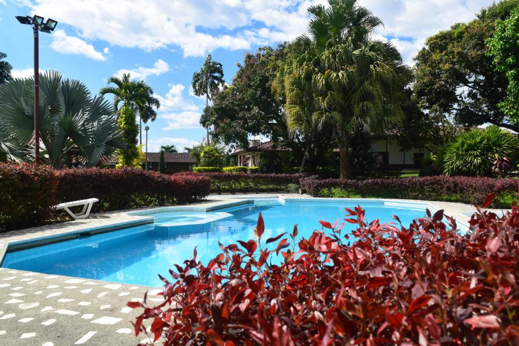Fotografie z fotogalerie ubytování Finca La bella v destinaci La Tebaida