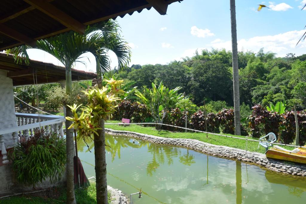 Fotografie z fotogalerie ubytování Finca La bella v destinaci La Tebaida