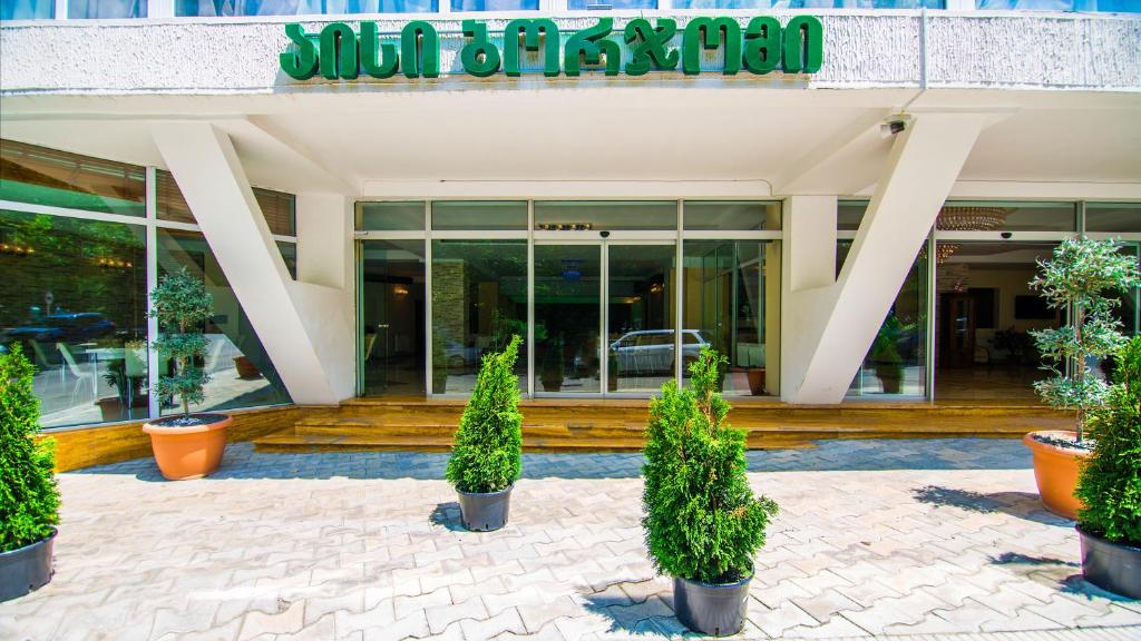 Exteriér nebo vchod ubytování Hotel Borjomi Aisi