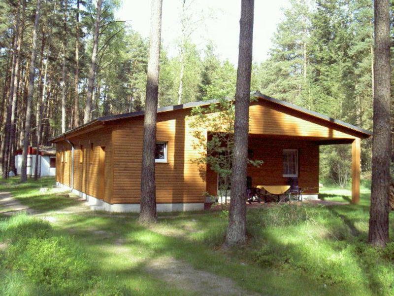 uma pequena cabana de madeira no meio de uma floresta em Dependance Ferienhäuser am Kastavensee em Lychen