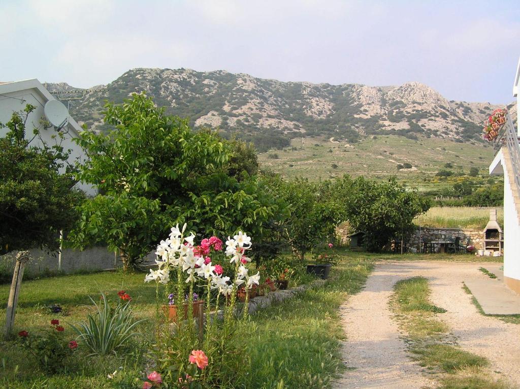 a garden with flowers and a mountain in the background at Apartments Bogdi in Draga Bašćanska