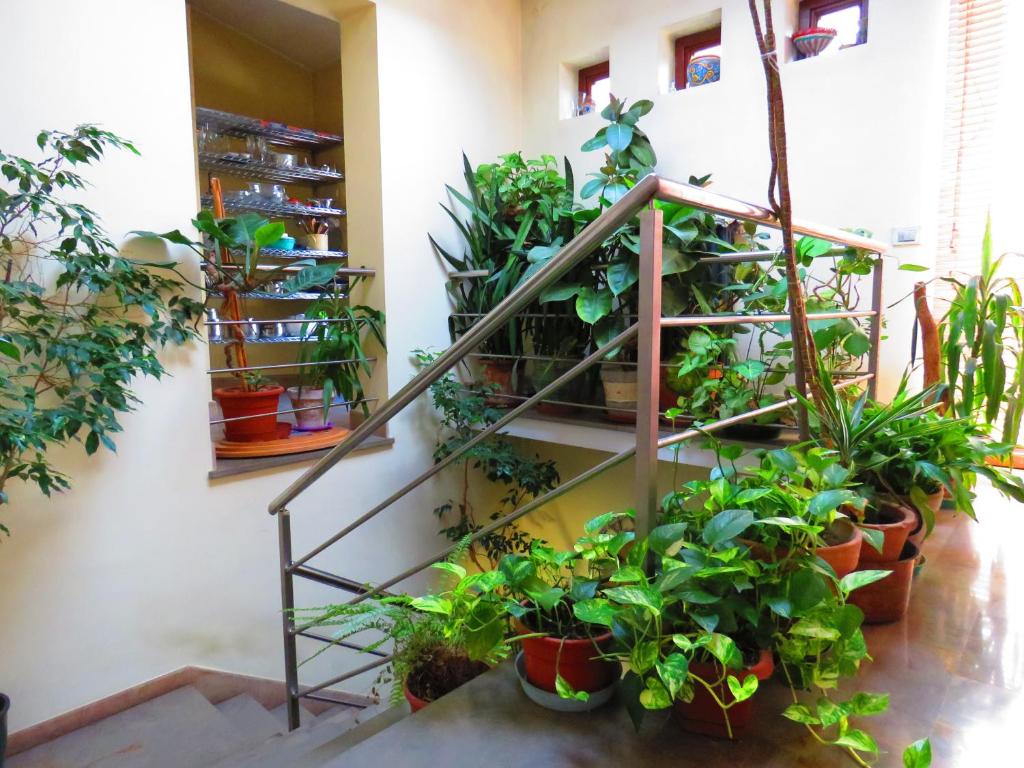 a room filled with lots of potted plants at L'Arca di Noè in Enna