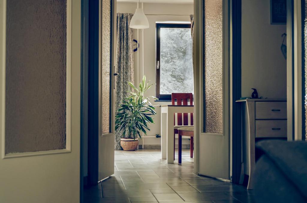 a hallway with a table and a potted plant at Balokány apartman in Pécs