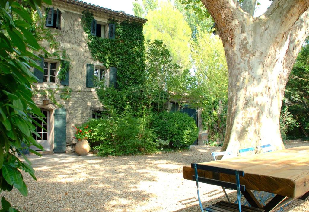 un tavolo seduto sotto un albero di fronte a un edificio di Maison d'hôtes Campagne-Baudeloup a LʼIsle-sur-la-Sorgue