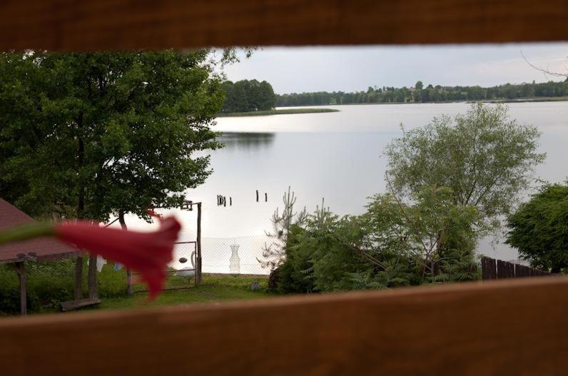 zabawkowy pies stoi przed jeziorem w obiekcie Dom Wczasowy Dogoda w mieście Zełwągi