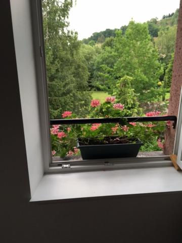 Balkón nebo terasa v ubytování chambres d'hotes " Le Magnolia "