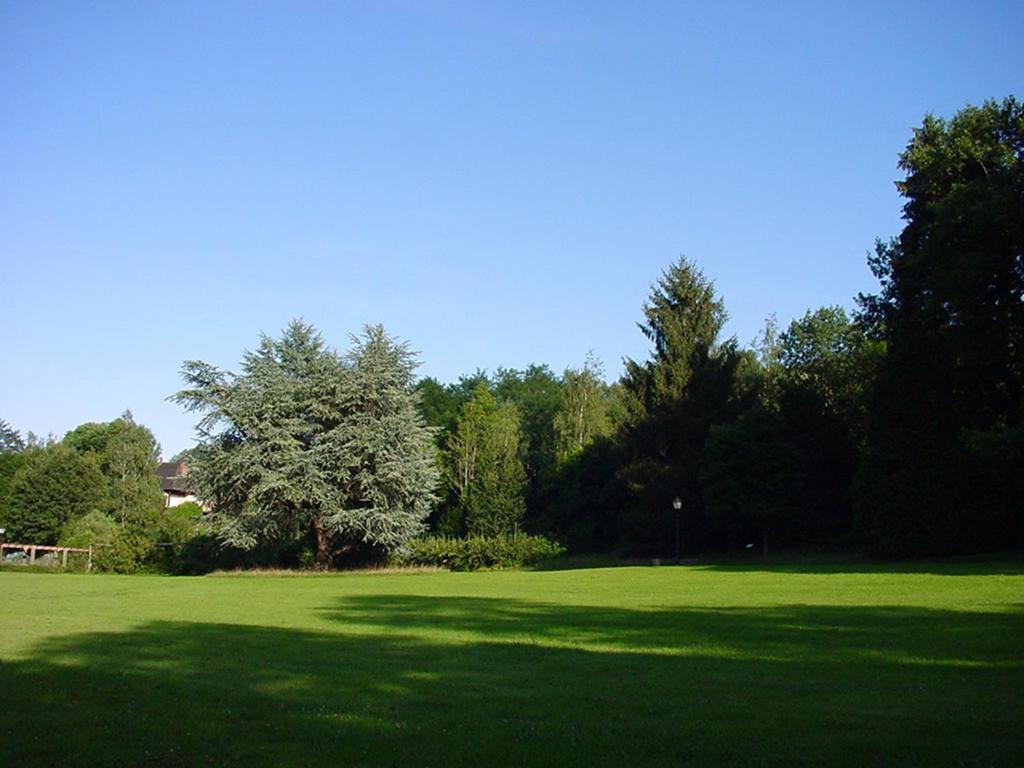 Příroda nedaleko bed and breakfast