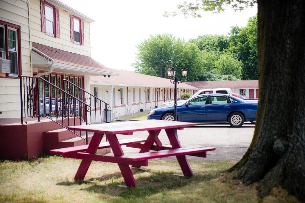 einem Picknicktisch vor einem Gebäude mit einem Baum in der Unterkunft Steelhead Inn in Erie