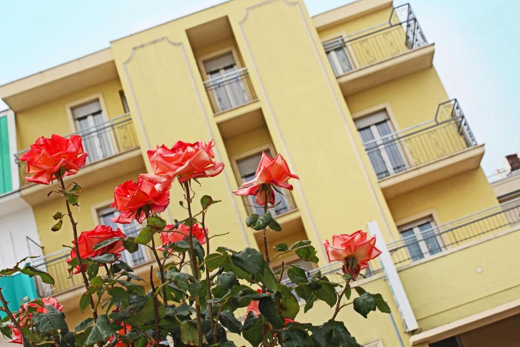ベッラーリア・イジェア・マリーナにあるHotel Villa Auroraの赤いバラが目の前に広がる黄色い建物