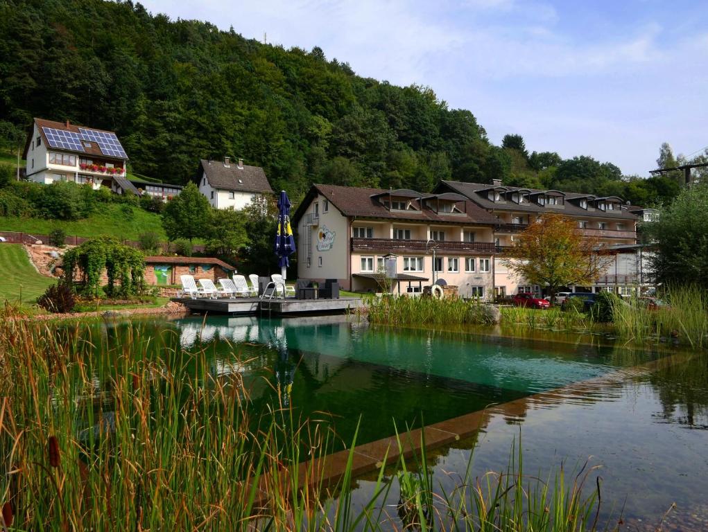 une rivière en face d'un village avec des maisons dans l'établissement Hotel Christel, à Heimbuchenthal