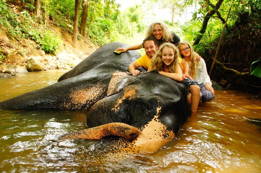 Et eller flere kæledyr der bor med gæster på Jungle Village Homestay