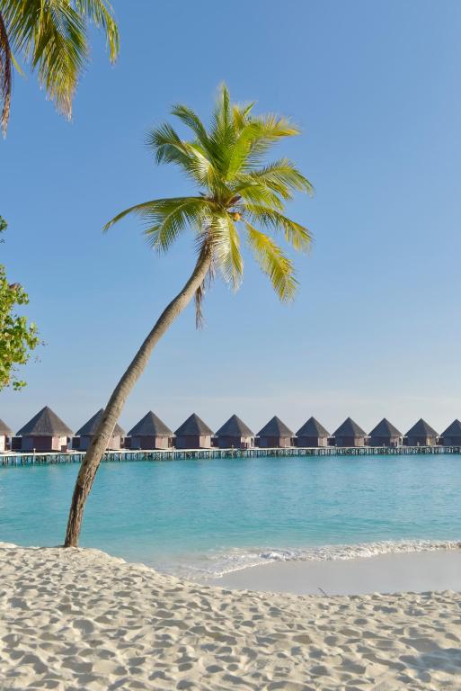 Thulhagiri Island Resort & Spa - View 26