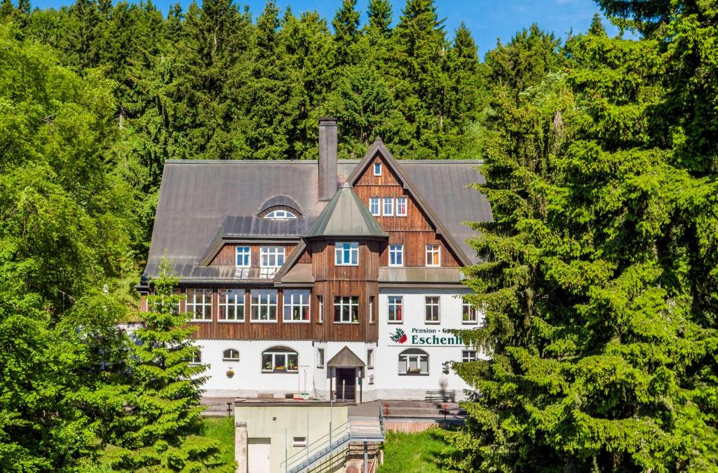 une grande maison au milieu d'une forêt dans l'établissement Pension und Gaststätte Naturbaude Eschenhof, à Kurort Oberwiesenthal